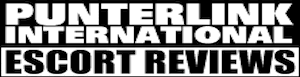 Punterlink Logo